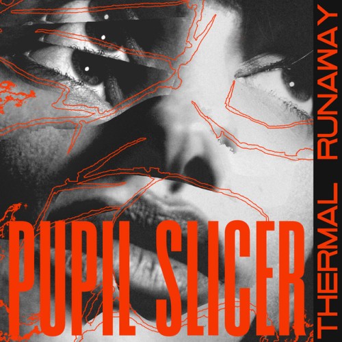 Pupil Slicer - Thermal Runaway (2022) Download