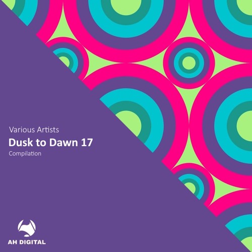 Various Artists – Dusk to Dawn 17 (2024)