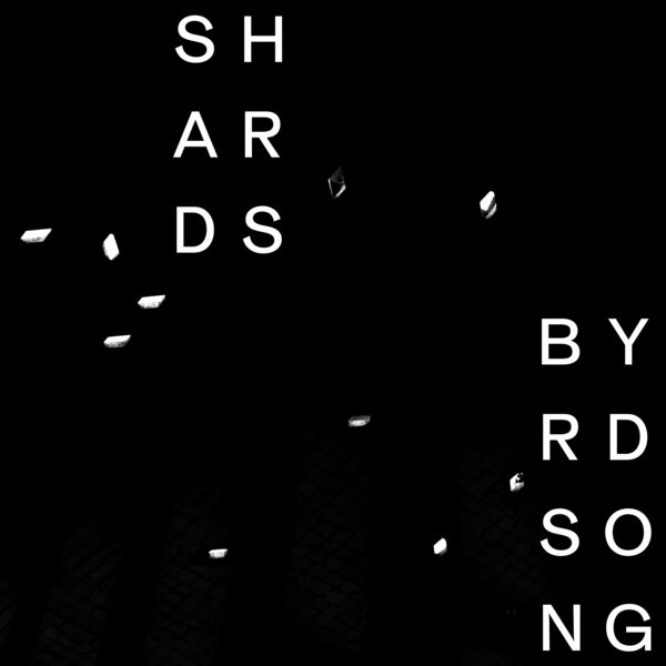 shArds – Byrd Song (2024) [24Bit-96kHz] FLAC [PMEDIA] ⭐️