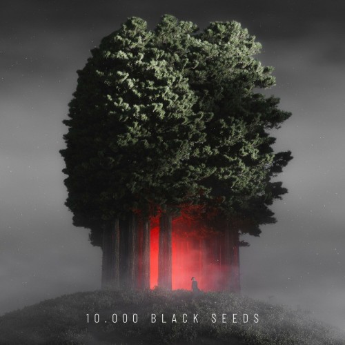 Bjoern Torwellen – 10.000 Black Seeds (2024)