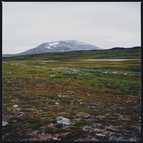 Gidge - Tundra (2024) Download