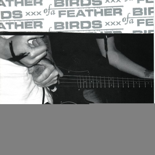 Birds Of A Feather  In Defence-Birds Of A Feather  In Defence-Split-16BIT-WEB-FLAC-2007-VEXED Download