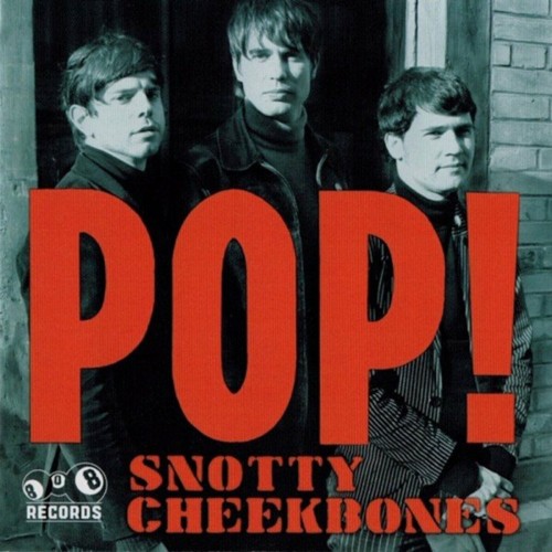 Snotty Cheekbones - Pop! (2006) Download