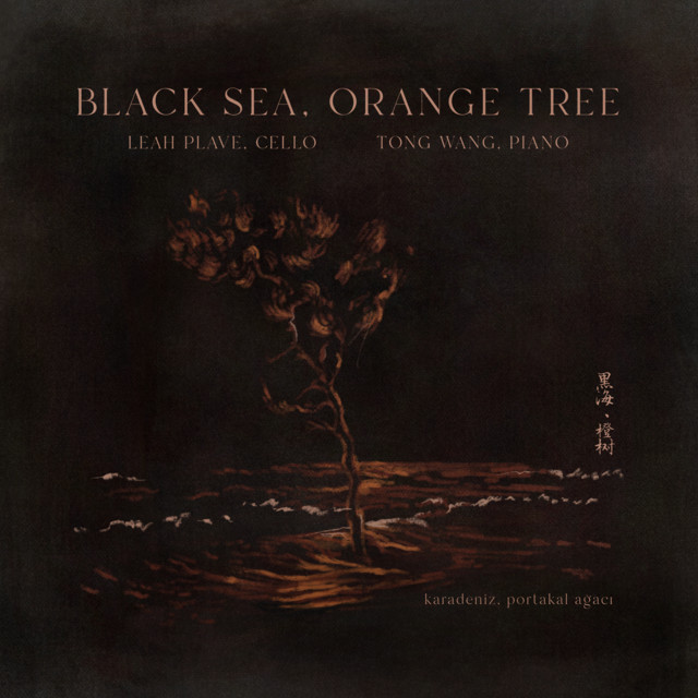 Leah Plave - Black Sea Orange Tree (2024) [24Bit-96kHz] FLAC [PMEDIA] ⭐️ Download