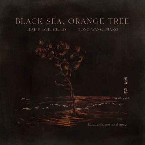 Leah Plave – Black Sea Orange Tree (2024) [24Bit-96kHz] FLAC [PMEDIA] ⭐️