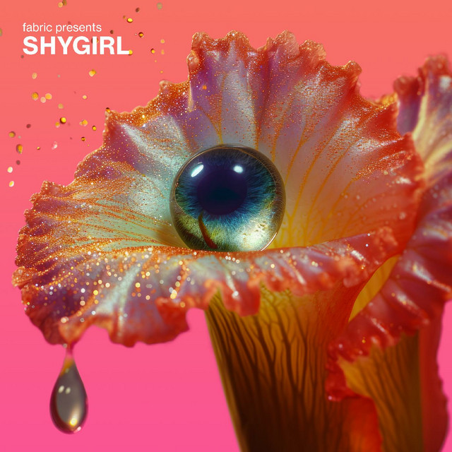 Shygirl - fabric presents Shygirl (DJ Mix) (2024) [24Bit-44.1kHz] FLAC [PMEDIA] ⭐️ Download