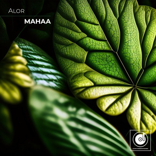 AloR - Mahaa (2024) Download