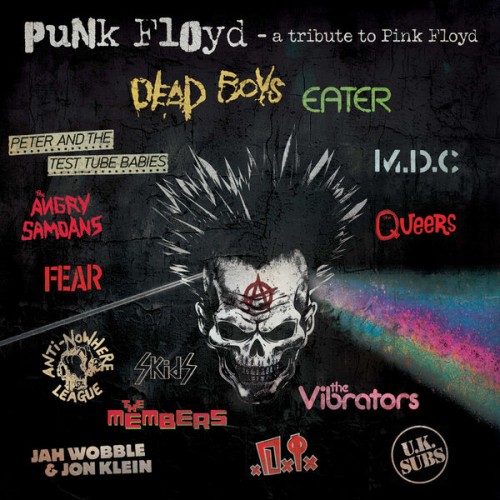 Various Artists – Punk Floyd – A Tribute To Pink Floyd (2024) [16Bit-44.1kHz] FLAC [PMEDIA] ⭐️
