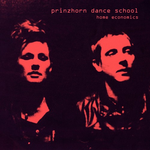 Prinzhorn Dance School - Home Economics (2015) Download