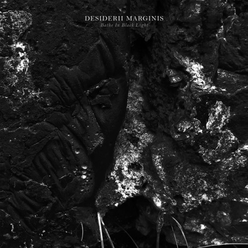 Desiderii Marginis - Bathe In Black Light (2024) Download