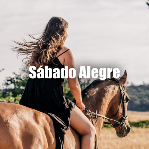 Various Artists – Sabado Noche 2 (1992)