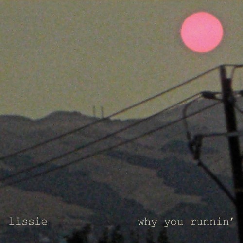 Lissie - Why You Runnin' (2019) Download