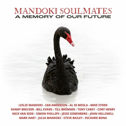 ManDoki Soulmates - A Memory Of Our Future (2024) Download