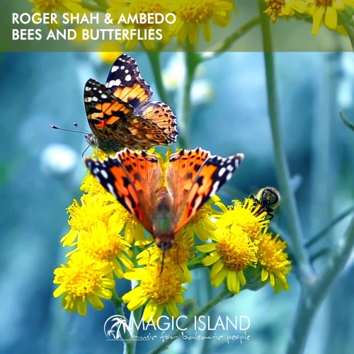 Roger Shah & Ambedo – Bees And Butterflies (2024)