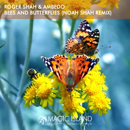 Roger Shah & Ambedo – Bees And Butterflies (Noah Shah Remix) (2024)