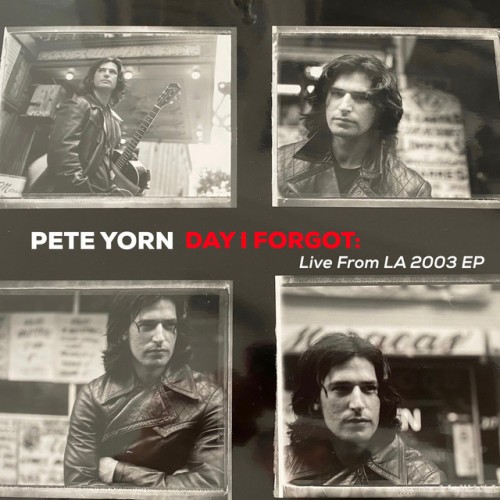 Pete Yorn - Day I Forgot: Live From LA 2003 EP (2020) Download
