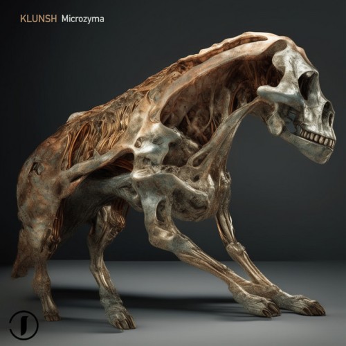 Klunsh – Microzyma (2024)