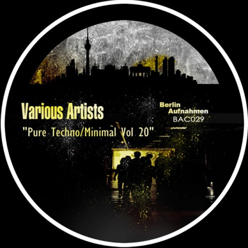 Various Artists – Pure Techno: Minimal Vol 20 (2013)
