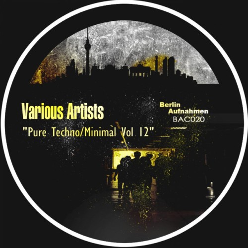 Various Artists – Pure Techno Minimal Vol 12 (2013)