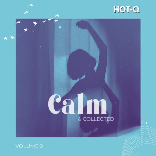 VA-Calm And Collected 009-16BIT-WEB-FLAC-2024-ROSiN
