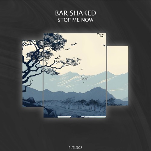 Bar Shaked – Stop Me Now (2024)