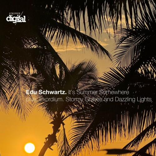 Edu Schwartz-Its Summer Somewhere-(399SD)-16BIT-WEB-FLAC-2024-AFO