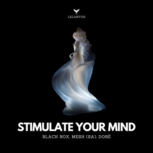 BLACK BOX & MESH (SA) & DOBe – Stimulate Your Mind (2024)