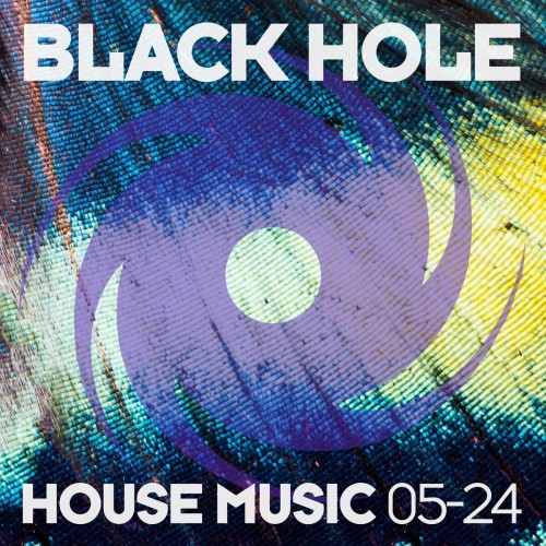 Various Artists – Black Hole House Music 05-24 (2024)