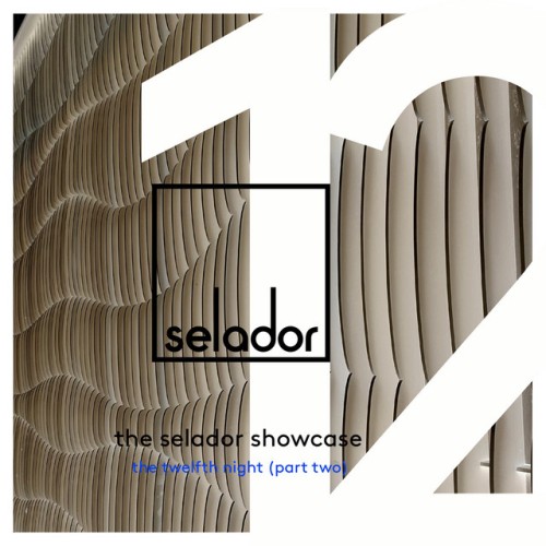 VA-The Selador Showcase 19 Pt 1-(SEL181)-16BIT-WEB-FLAC-2024-AFO