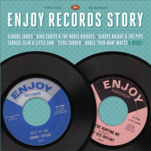 Various Artists – Enjoy Records Story (2012)