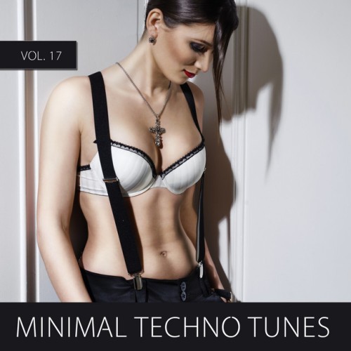 Various Artists - Minimal Techno Tunes, Vol. 17 (2014) Download