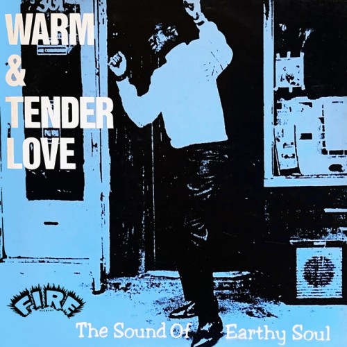 Various Artists – Warm & Tender Love: The Sound Of Earthy Soul (1984)