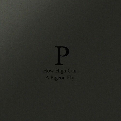 Phara - How High Can A Pigeon Fly (2024) Download