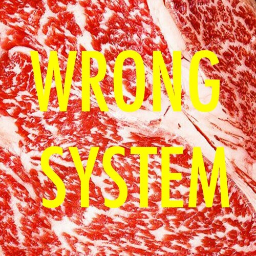 Tronik Youth – Wrong System (2024)