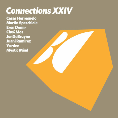 VA-Connections Vol. XXIV-(BALKAN0803)-16BIT-WEB-FLAC-2024-AFO