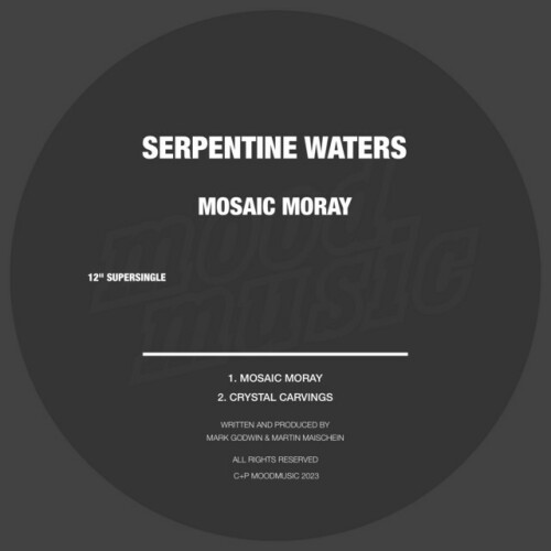 Serpentine Waters - Serpentine Waters (2024) Download