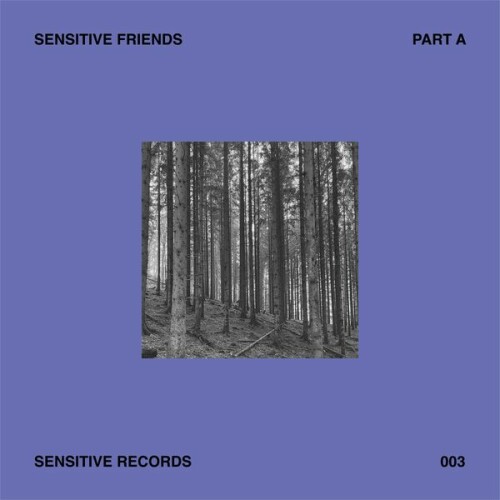 Simon Littauer - Sensitive Friends - Part A (2024) Download