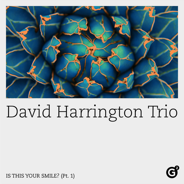 David Harrington Trio - Is This Your Smile  (Pt. 1) (2024) [24Bit-96kHz] FLAC [PMEDIA] ⭐️ Download