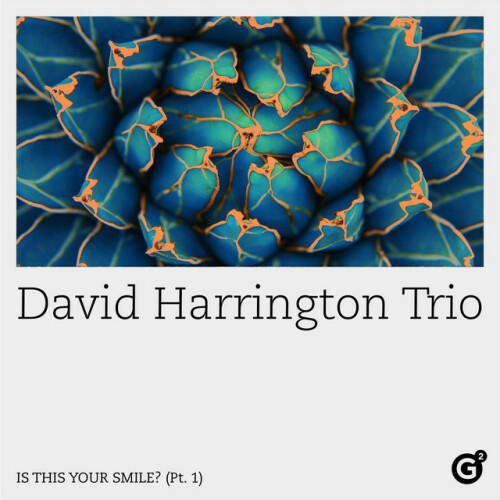 David Harrington Trio – Is This Your Smile?  (2024)