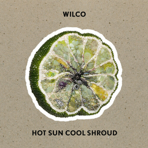 Wilco – Hot Sun Cool Shroud (2024) [24Bit-96kHz] FLAC [PMEDIA] ⭐️