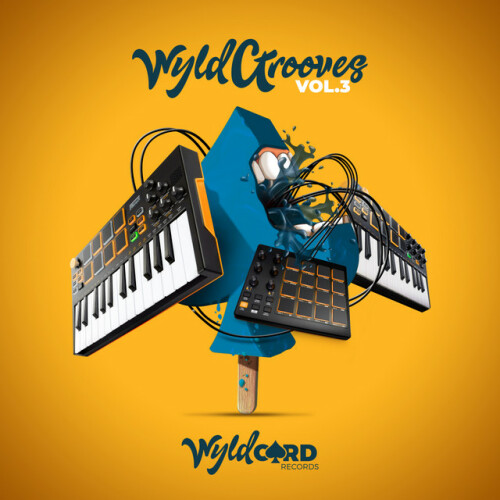 Various Artists – WyldGrooves, Vol. 3 (2021)