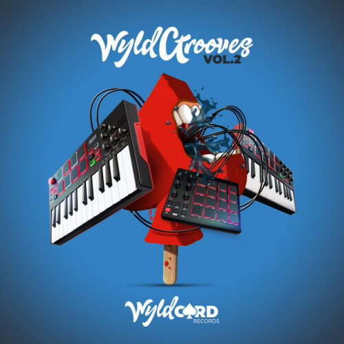 Various Artists – WyldGrooves vol.2 (2020)