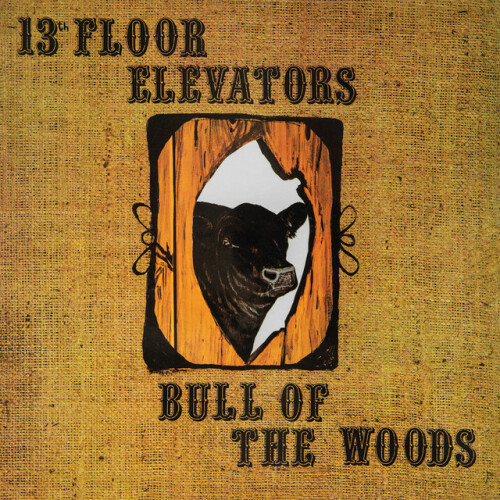 13th Floor Elevators - Bull Of The Woods: QFPS Version (2024) Download