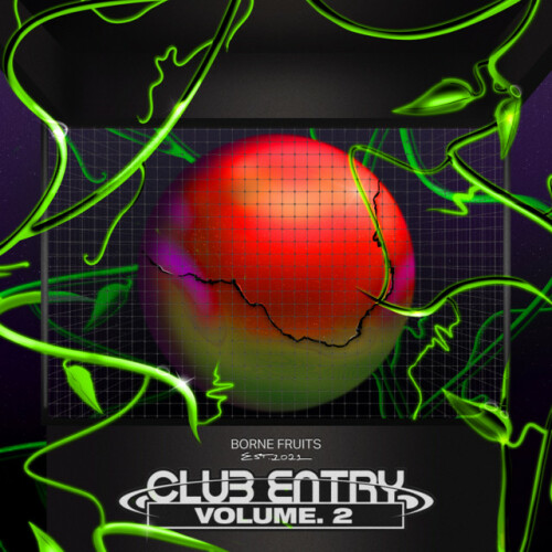 Various Artists - Club Entry, Vol. 2 (2024) Download