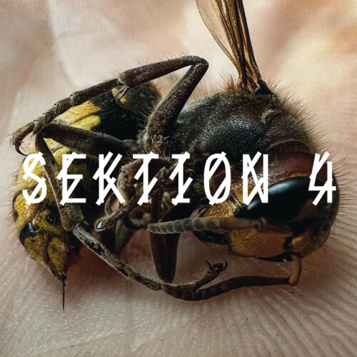 Various Artists – SEKTION 4 (2024)