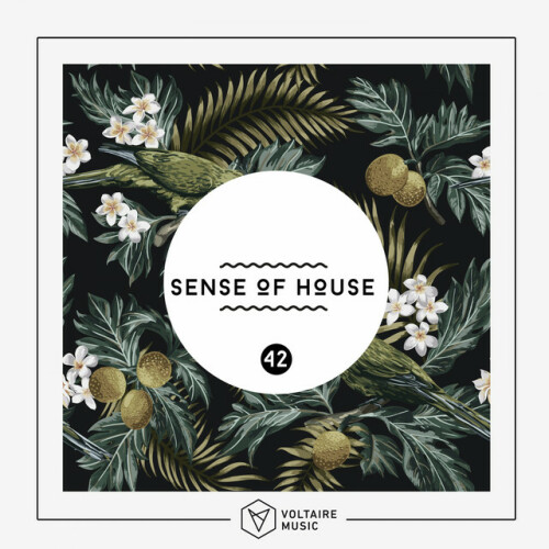 Various Artists – Sense Of House, Vol. 42 (2018)