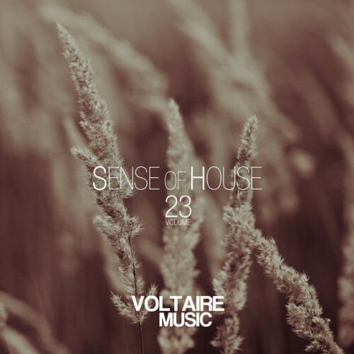 Various Artists - Sense of House, Vol. 23 (2014) Download