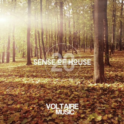 Various Artists – Sense of House, Vol. 28 (2015)