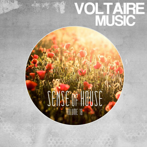 Various Artists - Sense of House, Vol. 18 (2015) Download