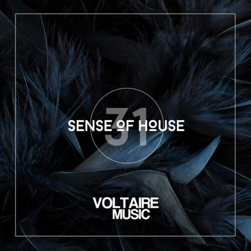 Various Artists - Sense of House, Vol. 31 (2016) Download